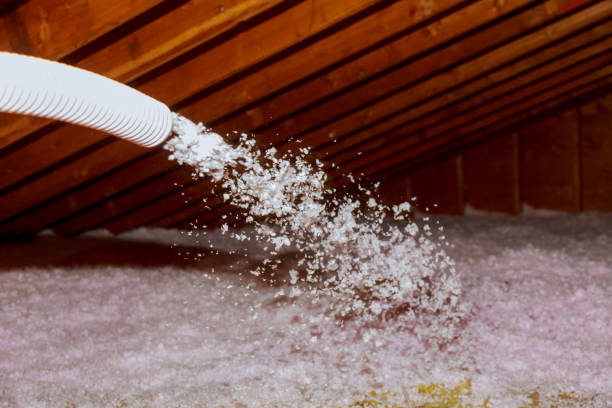 Best Insulation Inspection Services  in Celebration, FL